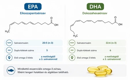 Az EPA és a DHA rövidítések összehasonlítása omega-3 címkeértelmezéshez